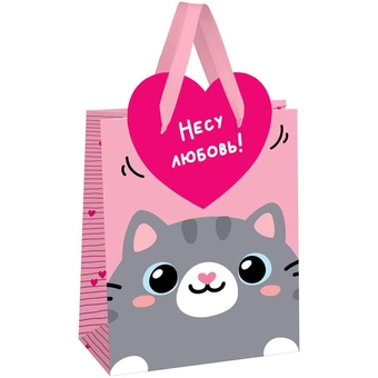 Сумка подарочная 18*23*10см  Give love фольга   матовая ламинация (MESHU)