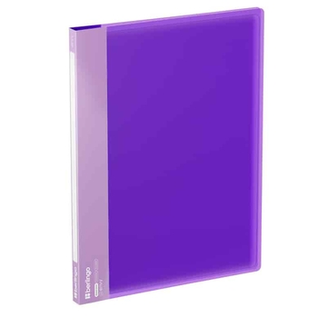 Папка 20 вкладышей ф.А4 цвет фиолетовый Envy (Berlingo)