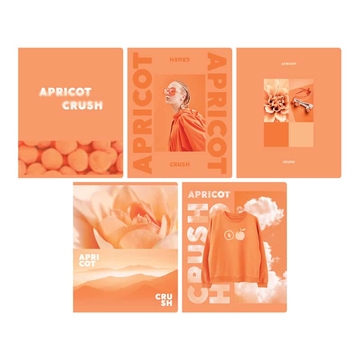 Тетрадь 48л. А5 клетка скрепка Apricot (BG)