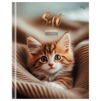 Дневник для младших классов "Soft" твердая обложка (BG)