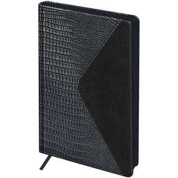 Ежедневник недатир. ф.А5 кожзам "Reptile Steel" черный 272с (BG)