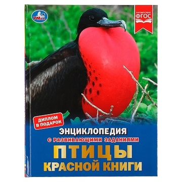 Энциклопедия "Птицы Красной книги"А4 48стр. (Умка)