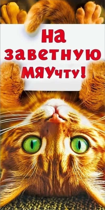 70000444 Конверт для денег "На заветную МЯУчту"