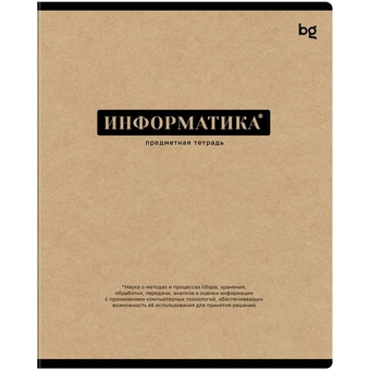 Тетрадь Информатика 48л. А5 Крафт (BG)