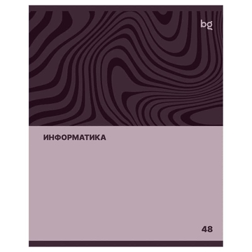 Тетрадь Информатика 48л. А5 Single colour (BG)