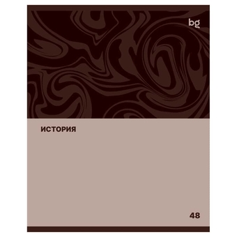 Тетрадь История 48л. А5 Single colour (BG)