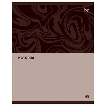 Тетрадь История 48л. А5 Single colour (BG)