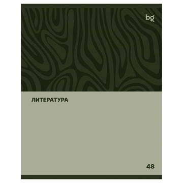 Тетрадь Литература 48л. А5 Single colour (BG)