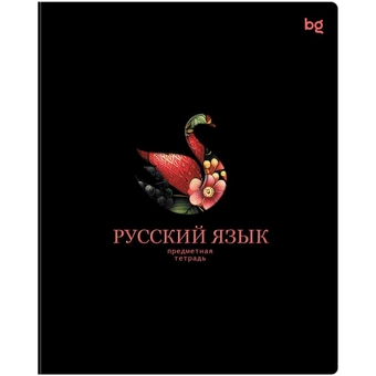 Тетрадь Русский язык 48л. А5 Информационное поле (BG)