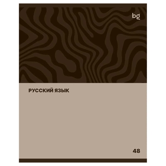 Тетрадь Русский язык 48л. А5 Single colour (BG)