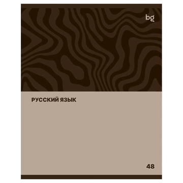 Тетрадь Русский язык 48л. А5 Single colour (BG)