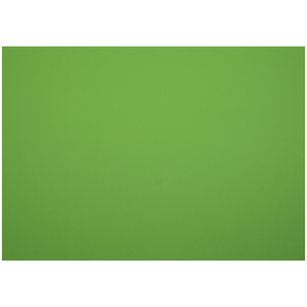 Картон плакатный 48*68см мелованный зеленый 380г/м2 (Мульти-Пульти)