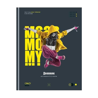 Дневник для старших классов "Crazy mood" твердая обложка(BG)