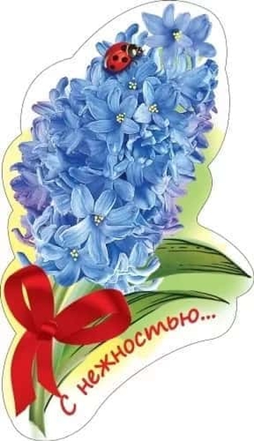 Магнит виниловый "С нежностью!"