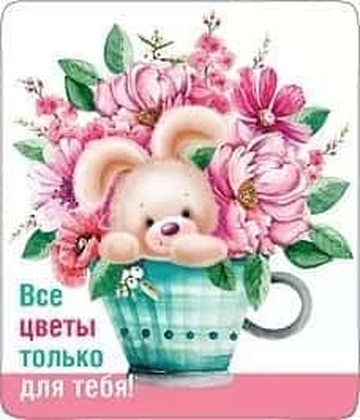Магнит виниловый "Все цветы только для тебя!"
