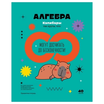 Тетрадь Алгебра 40л. А5 Записки школьника (BG)
